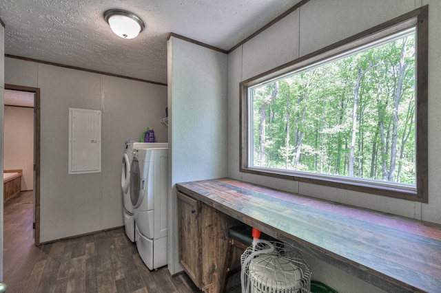 5077 Southpoint Ridge Rd, Hampshire, TN 38461 - laundry room featuring a wealth of natural light, dark wood-type flooring, separate washer and dryer, and a textured ceiling