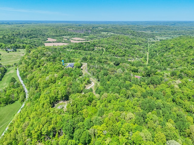 5077 Southpoint Ridge Rd, Hampshire, TN 38461 - view of aerial view