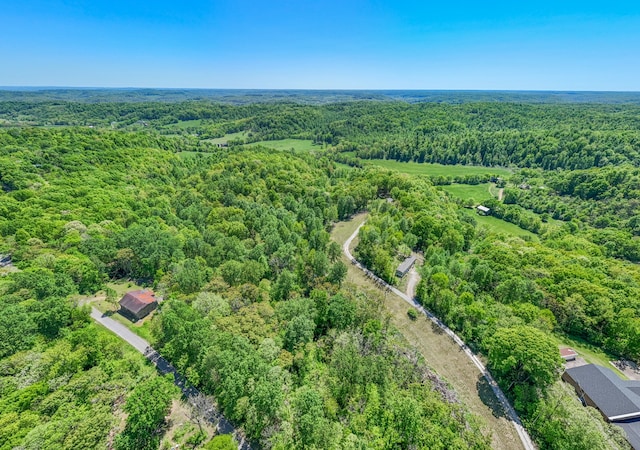 5077 Southpoint Ridge Rd, Hampshire, TN 38461 - view of aerial view