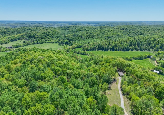 5077 Southpoint Ridge Rd, Hampshire, TN 38461 - view of bird's eye view