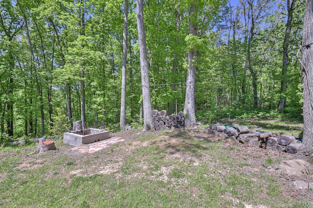 5077 Southpoint Ridge Rd, Hampshire, TN 38461 - view of yard