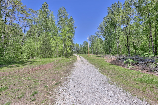 5077 Southpoint Ridge Rd, Hampshire, TN 38461 - view of street