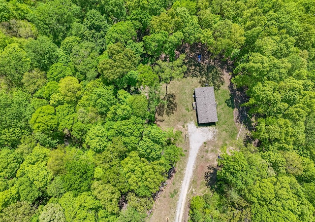 5077 Southpoint Ridge Rd, Hampshire, TN 38461 - view of bird's eye view