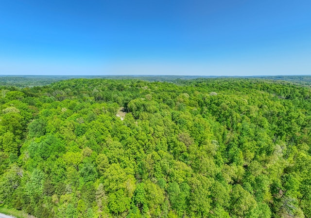 5077 Southpoint Ridge Rd, Hampshire, TN 38461 - view of bird's eye view