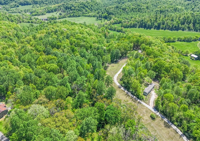 5077 Southpoint Ridge Rd, Hampshire, TN 38461 - view of aerial view