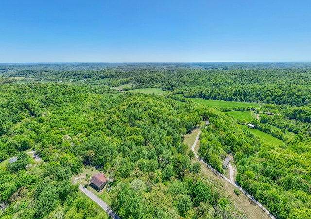 5077 Southpoint Ridge Rd, Hampshire, TN 38461 - view of bird's eye view