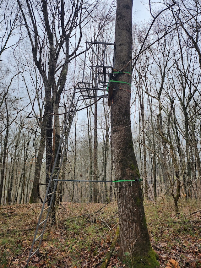 5077 Southpoint Ridge Rd, Hampshire, TN 38461 - view of nature