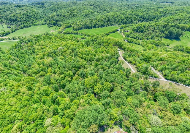 5077 Southpoint Ridge Rd, Hampshire, TN 38461 - view of bird's eye view