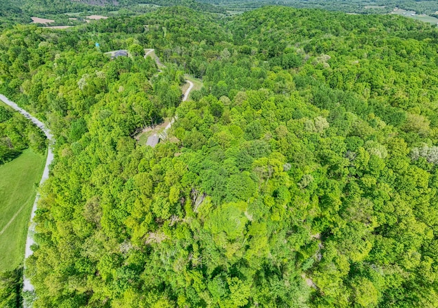5077 Southpoint Ridge Rd, Hampshire, TN 38461 - view of drone / aerial view