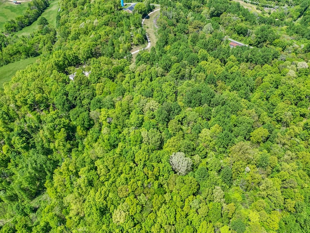 5077 Southpoint Ridge Rd, Hampshire, TN 38461 - view of bird's eye view