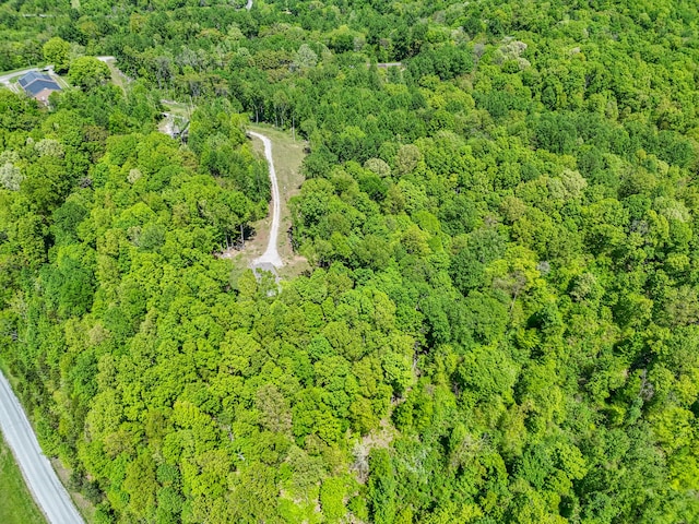 5077 Southpoint Ridge Rd, Hampshire, TN 38461 - view of aerial view