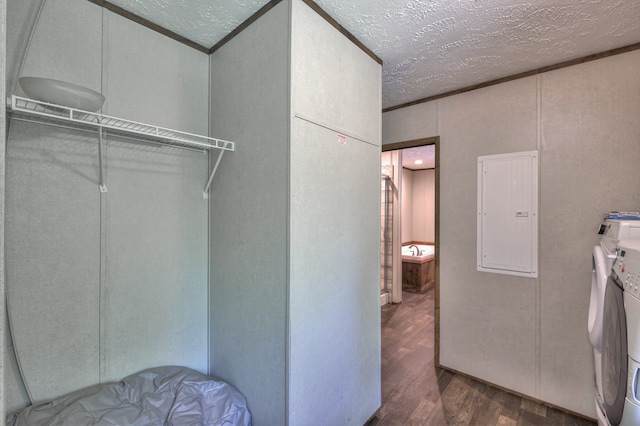 5077 Southpoint Ridge Rd, Hampshire, TN 38461 - interior space with dark wood-type flooring, separate washer and dryer, and a textured ceiling