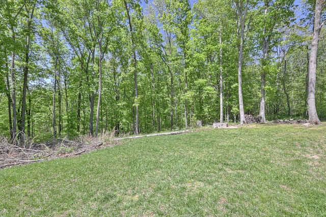 5077 Southpoint Ridge Rd, Hampshire, TN 38461 - view of yard