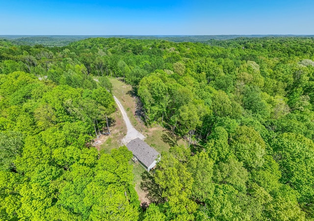 5077 Southpoint Ridge Rd, Hampshire, TN 38461 - view of birds eye view of property