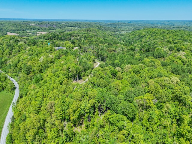 5077 Southpoint Ridge Rd, Hampshire, TN 38461 - view of aerial view