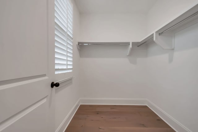 walk in closet with hardwood / wood-style flooring