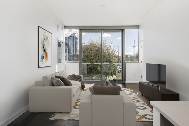 living room featuring floor to ceiling windows and wood-type flooring