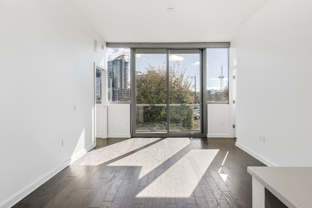 empty room featuring dark hardwood / wood-style floors