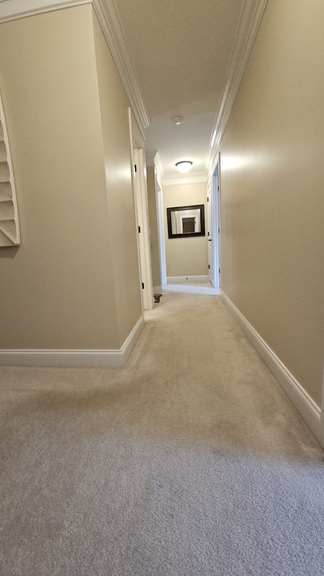 hallway featuring crown molding and carpet