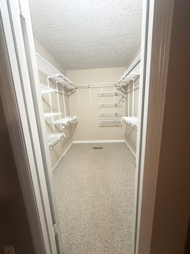 spacious closet with carpet floors