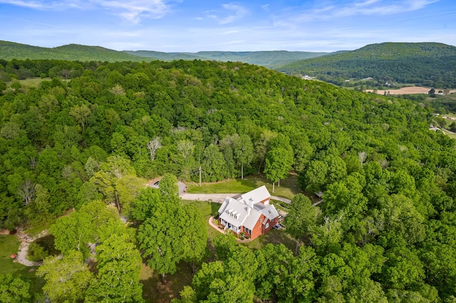 birds eye view of property with a mountain view