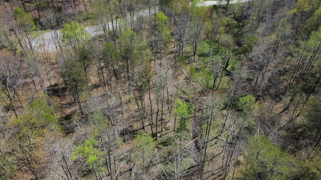 Listing photo 3 for 0 Glade Pl, Monterey TN 38574