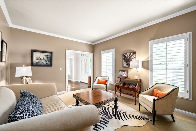 carpeted living room with ornamental molding