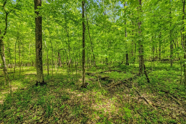 2458 Fly Rd, Nolensville, TN 37135 - photo 27