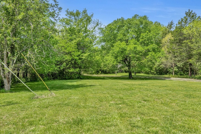 2458 Fly Rd, Nolensville, TN 37135 - photo 17