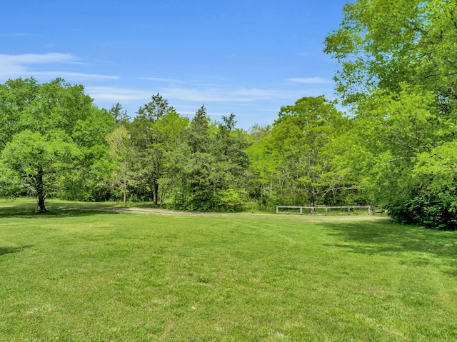 2458 Fly Rd, Nolensville, TN 37135 - photo 14