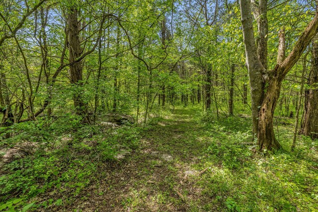 2458 Fly Rd, Nolensville, TN 37135 - photo 20