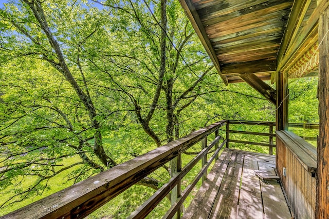 2458 Fly Rd, Nolensville, TN 37135 - photo 10
