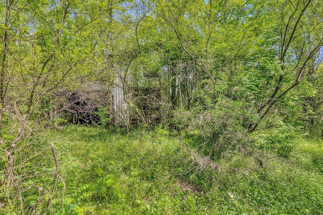 2458 Fly Rd, Nolensville, TN 37135 - photo 18
