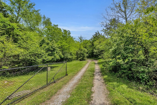 2458 Fly Rd, Nolensville, TN 37135 - photo 32