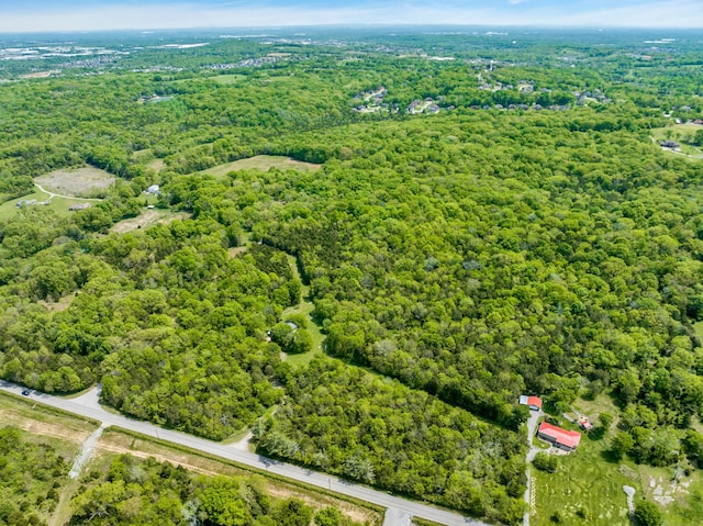2458 Fly Rd, Nolensville, TN 37135 - photo 34