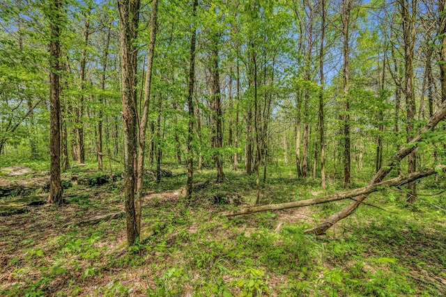 2458 Fly Rd, Nolensville, TN 37135 - photo 29