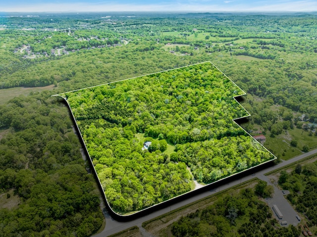 2458 Fly Rd, Nolensville, TN 37135 - photo 43