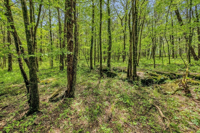 2458 Fly Rd, Nolensville, TN 37135 - photo 28