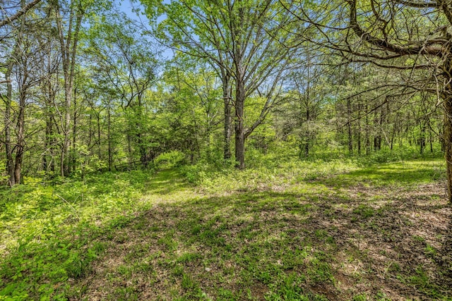 2458 Fly Rd, Nolensville, TN 37135 - photo 22