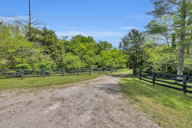 2458 Fly Rd, Nolensville, TN 37135 - photo 30