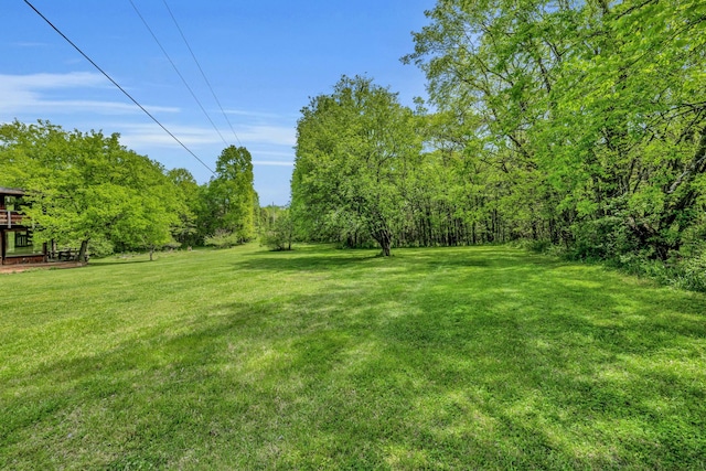 2458 Fly Rd, Nolensville, TN 37135 - photo 15