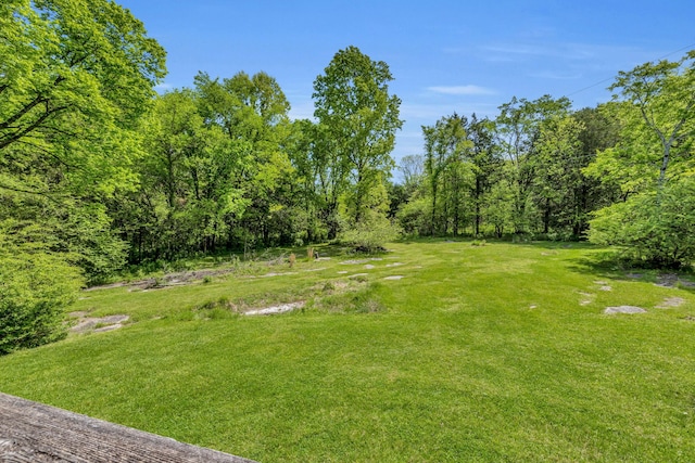 2458 Fly Rd, Nolensville, TN 37135 - photo 16