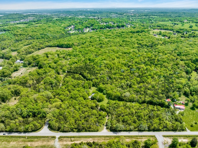 2458 Fly Rd, Nolensville, TN 37135 - photo 33