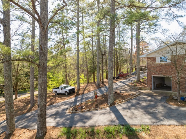 view of yard with a garage