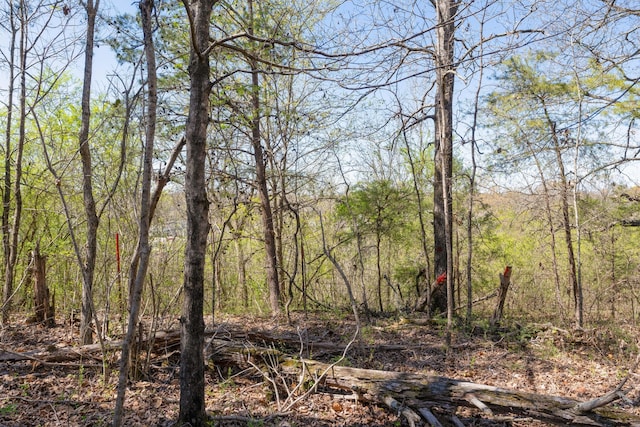 view of local wilderness