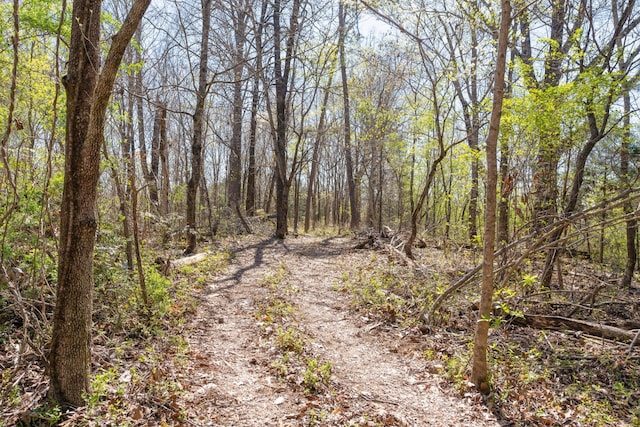 view of local wilderness