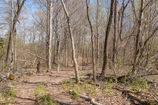 view of local wilderness