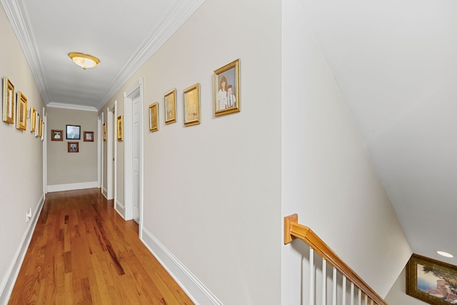 hall featuring crown molding and hardwood / wood-style floors