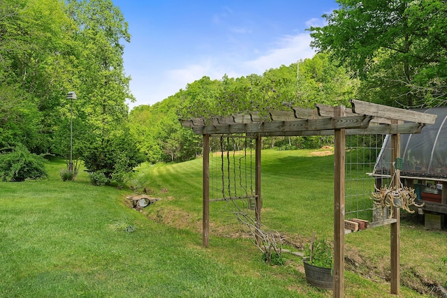 view of yard featuring a pergola