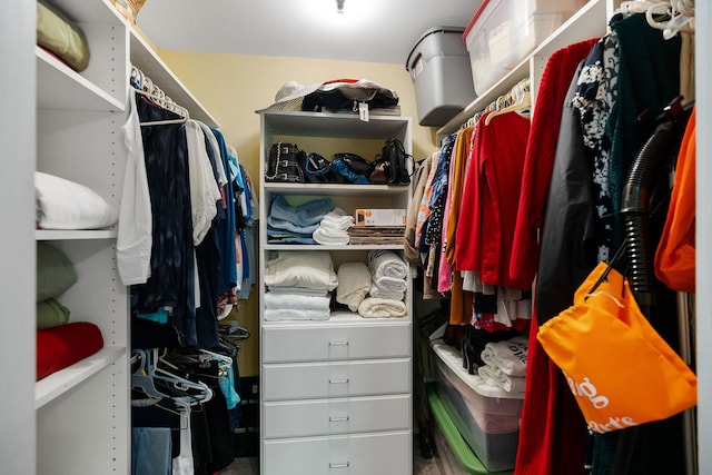 view of spacious closet